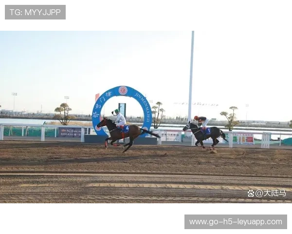 赛马跑道大事故两马摔倒伤情不明 赛马跑道大事故两马摔倒伤情不明