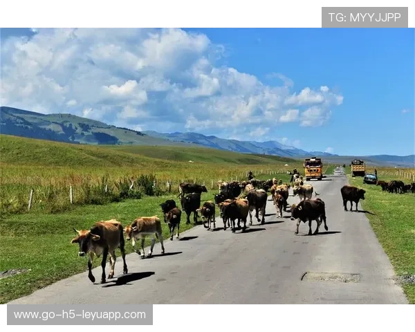 新时代下的新疆之行：镜头里的风景与人文