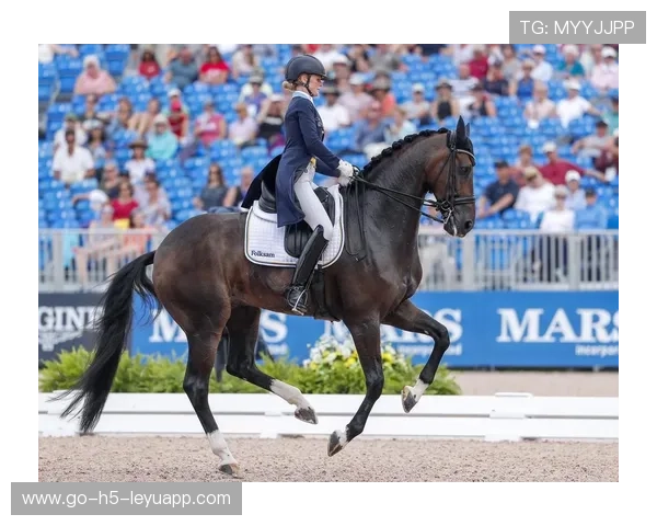 英国皇家马术比赛盛况空前，马术运动深受欢迎，英国皇家赛马大会